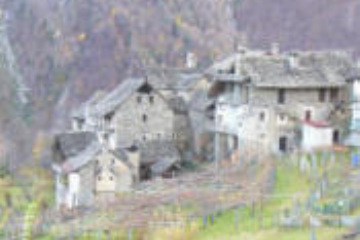 Sfoglia la galleria