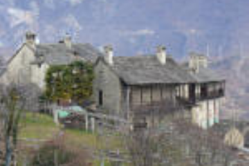 Sfoglia la galleria