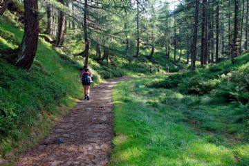 Sentiero nel bosco e persona che cammina