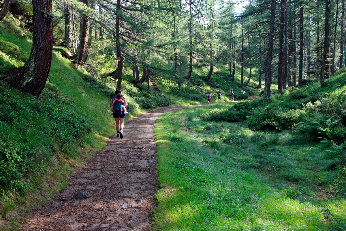 Sentiero nel bosco e persona che cammina